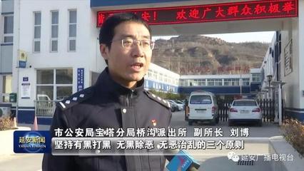 延安 黑惡必掃 除惡務盡——全面動員打擊利用信息網絡經營動漫產品的黑惡勢力